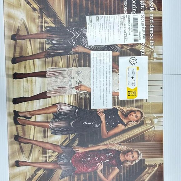 1920s V Neck Sequin Beaded Fringed Dress with 20s Accessories Set - Picture 6 of 6